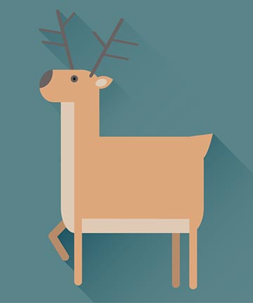 portfolio post