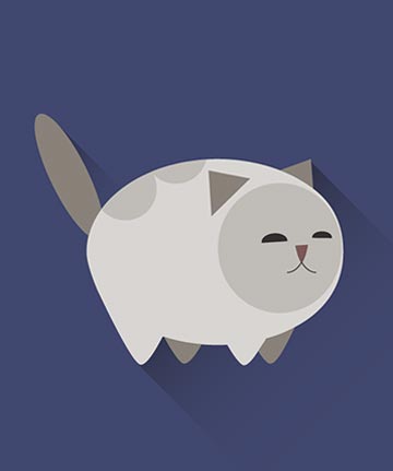 portfolio post