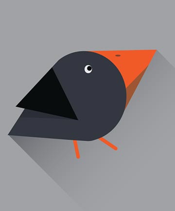 portfolio post