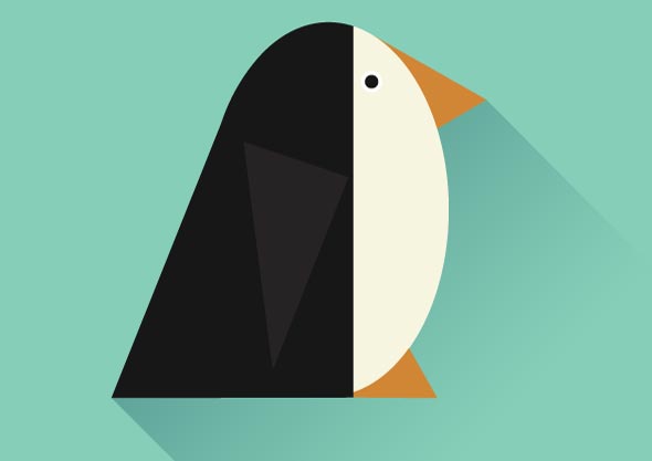 portfolio post