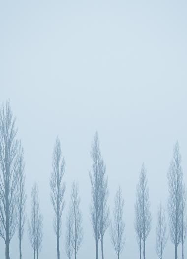portfolio post